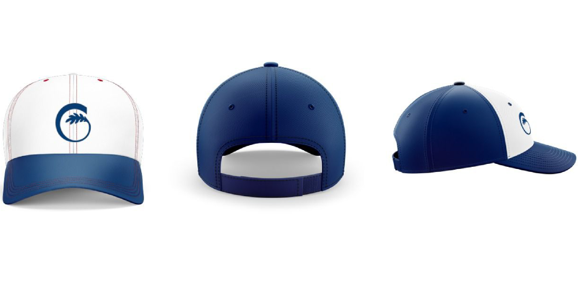 Web_Baseball Cap_10-01.jpg